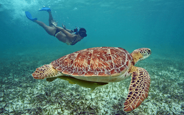 Luxury Cancun Airport Transportation to Akumal